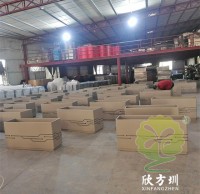 為什么現(xiàn)在的人喜歡選擇不銹鋼花盆呢？